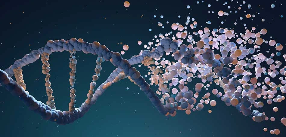 Bioinformatics